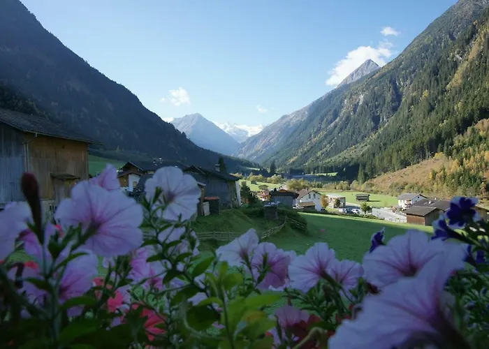 Voellenklee * 施图拜河谷新施蒂夫特